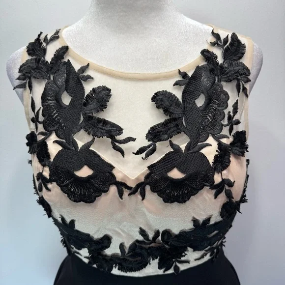 Black & Nude Dress Frilled Cocktail Party ModCloth Whimsigoth Chi Chi London 8 - Picture 7 of 16